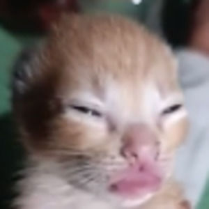 Meet your Posher, Drew